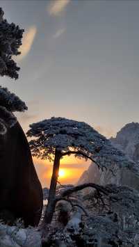 黃山冬日仙境！保姆級雪景攻略+冷門機位大公開 杭州出發2h直達！黃山雪景封神了家人們！ 