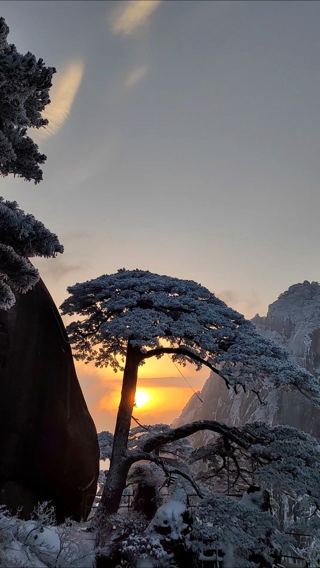 黃山冬日仙境！保姆級雪景攻略+冷門機位大公開 杭州出發2h直達！黃山雪景封神了家人們！ 