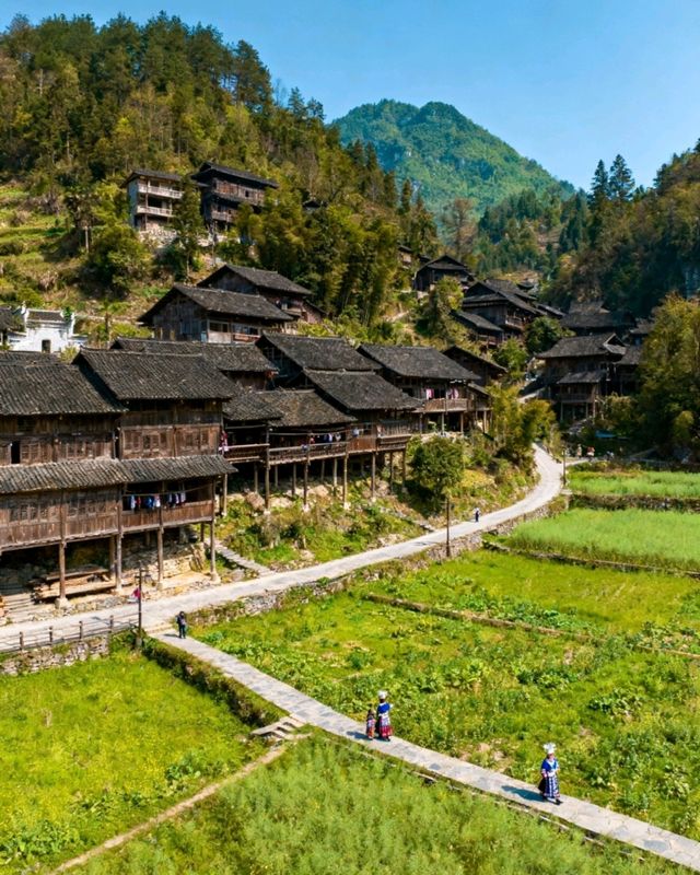 湘西保姆級攻略帶你遊玩絕美景點