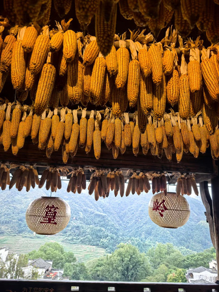 篁岭·晒秋天街 参考图 1