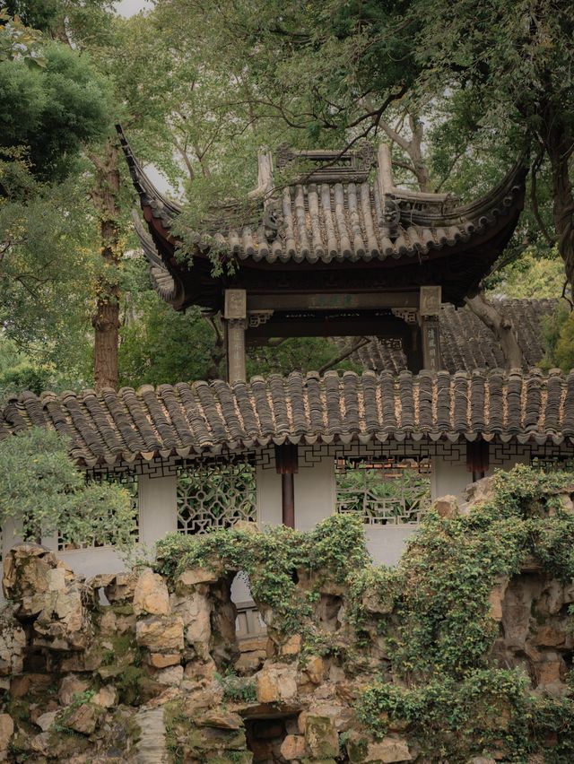 陰天的滄浪亭，才是蘇州園林的詩意天花板