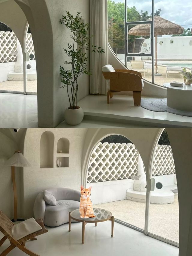 迪士尼10分鐘到!奶白城堡民宿,躺看泳池星空 迪士尼10分鐘到!奶白城堡民宿,躺看泳池星空