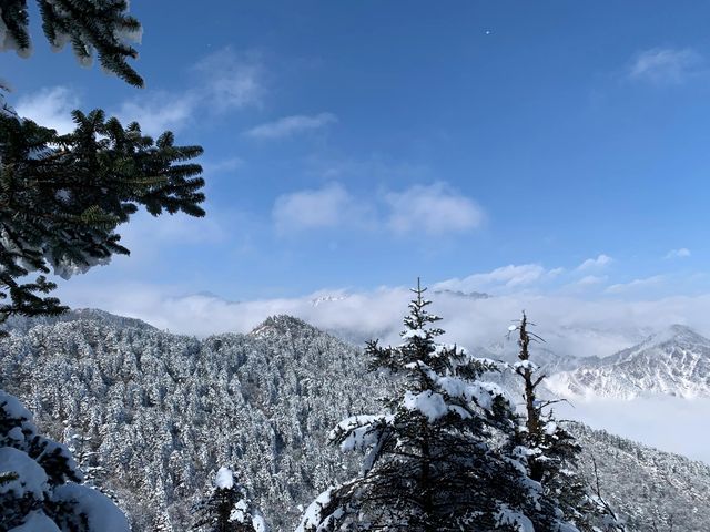 限時免票！四川這幾個景區，錯過等一年！