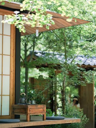 The highly asked-about forest cabin homestay! All the reviews are asking for the address