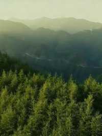 六盤山|闖入大西北的綠野秘境