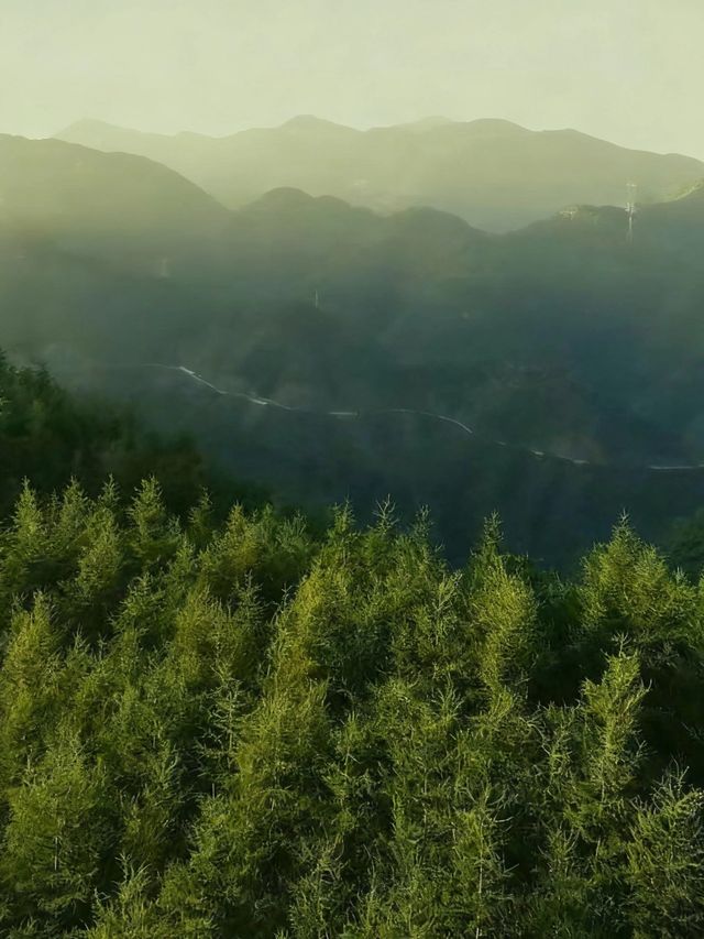 六盤山|闖入大西北的綠野秘境 六盤山|闖入大西北的綠野秘境