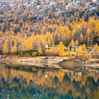 🌫️ 안개 낀 알프스의 숨겨진 보석, 알페 데베로