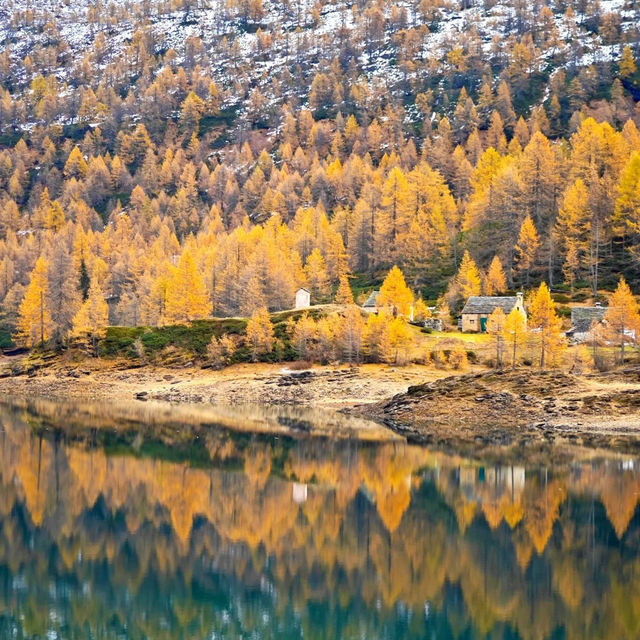 🌫️ 안개 낀 알프스의 숨겨진 보석, 알페 데베로