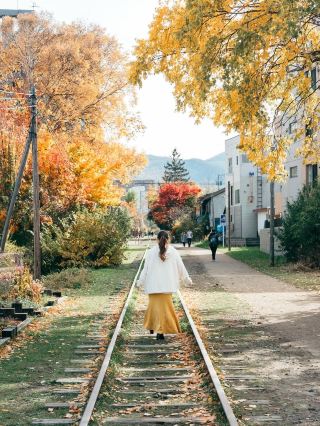 Otaru Canal Autumn Photography