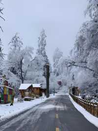 【漸江麗水，藏在你心底的詩意天堂！】