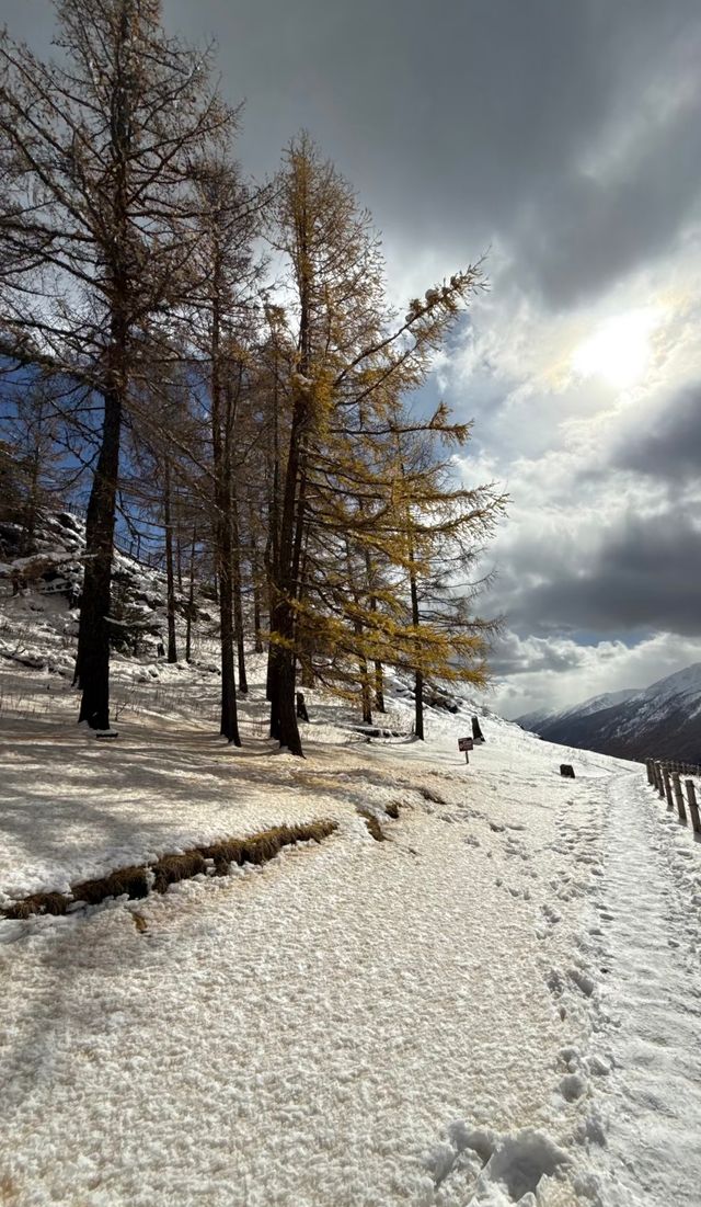 喀納斯童話木屋民宿!呢間北歐風超正 喀納斯童話木屋民宿!呢間北歐風超正
