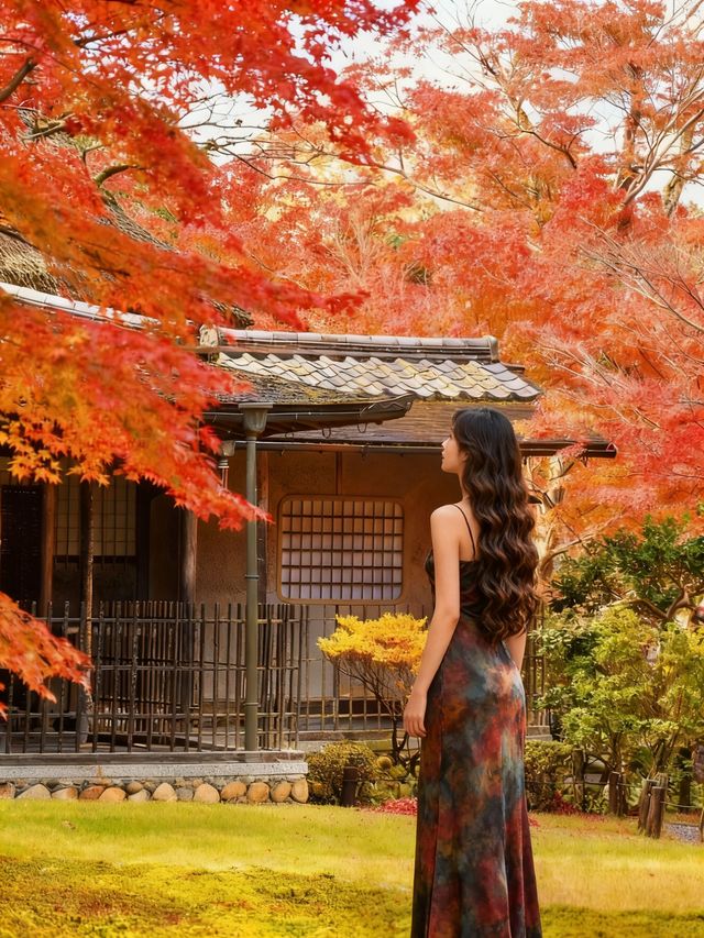 奈良紅葉季一日暴走攻略,美到窒息! 奈良紅葉季一日暴走攻略,美到窒息!