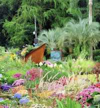 深圳仙湖花展開展啦