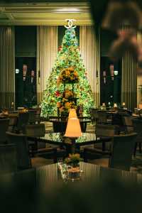 魔都外灘半島酒店超大聖誕樹已就位