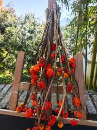 市區1h+達 深秋杭州這個古村落美到失語