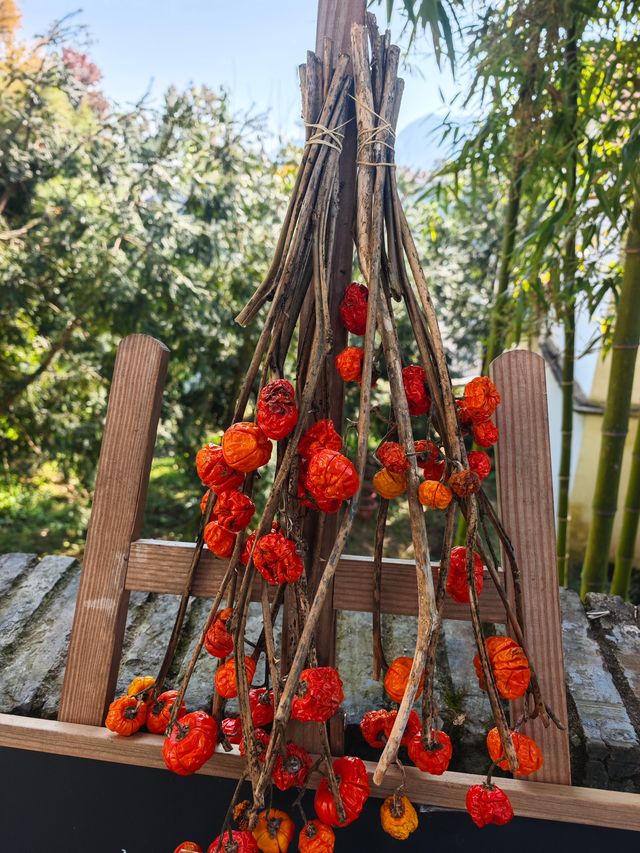 市區1h+達 深秋杭州這個古村落美到失語