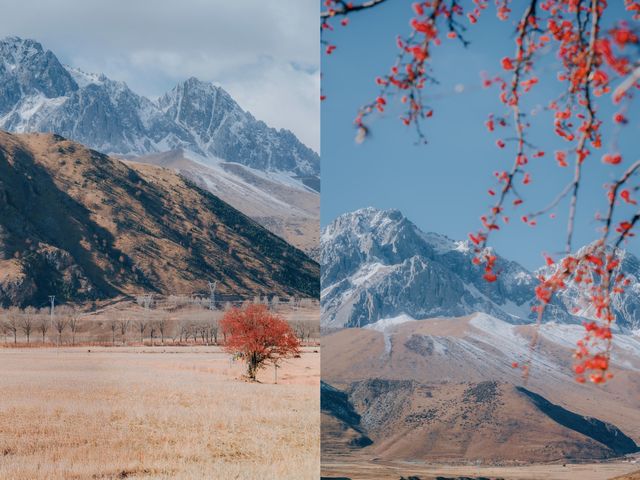 雪山下的紅色盛宴•俄色果 雪山下的紅色盛宴•俄色果