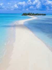 仙本那的一日遊行程真係超值!