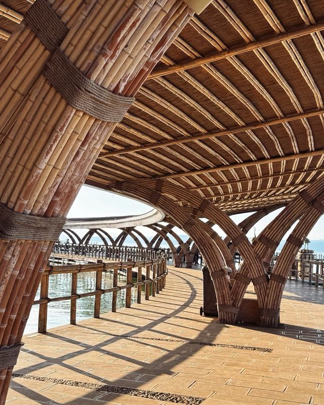 昆明古滇濕地公園深度遊玩攻略|吸氧遛娃吸氧首選 昆明古滇濕地公園深度遊玩攻略|吸氧遛娃吸氧首選