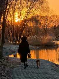 瀋陽故宮雪景酒店|推窗即是三百年盛京風華