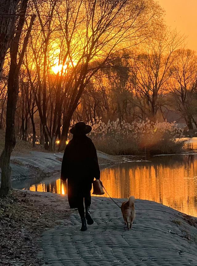 瀋陽故宮雪景酒店|推窗即是三百年盛京風華 瀋陽故宮雪景酒店|推窗即是三百年盛京風華