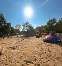 南京綠博園 拍照打卡休閒觀景溜娃走起來