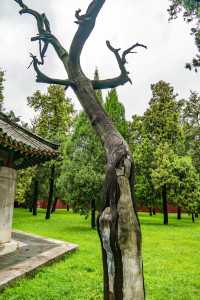 周公廟風景名勝區遊玩攻略