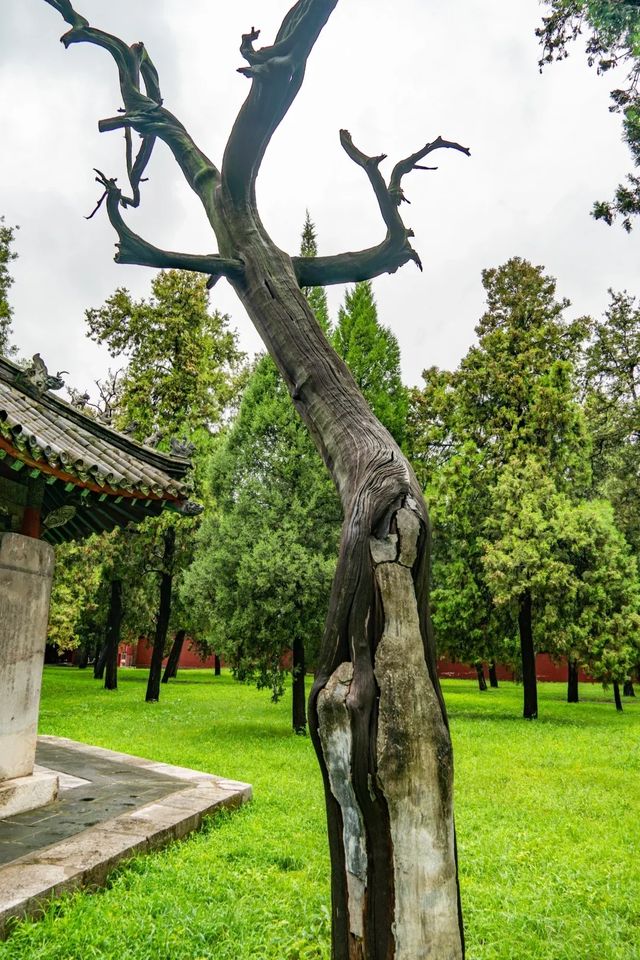 周公廟風景名勝區遊玩攻略