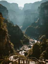 廣西通靈大峽谷親子遊探秘侏羅紀！娃見桫欏超興奮