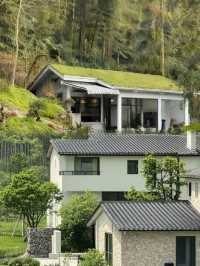 廣州從化獨棟山野小院,青瓦鑲綠意,美到想哭