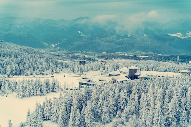 中國8大冰川雪山打卡攻略！每一幀都是壁紙級大片  四川-達古冰川 離城市最近的冰川！坐纜
