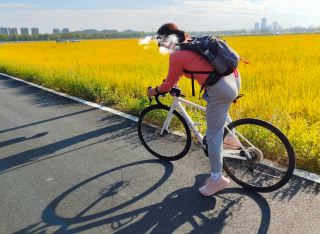 주촌 논밭의 즐거움(사진은 11월 22일 촬영)