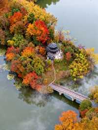 高鐵直達!快來皖南這個避世小鎮賞絕美秋色吧