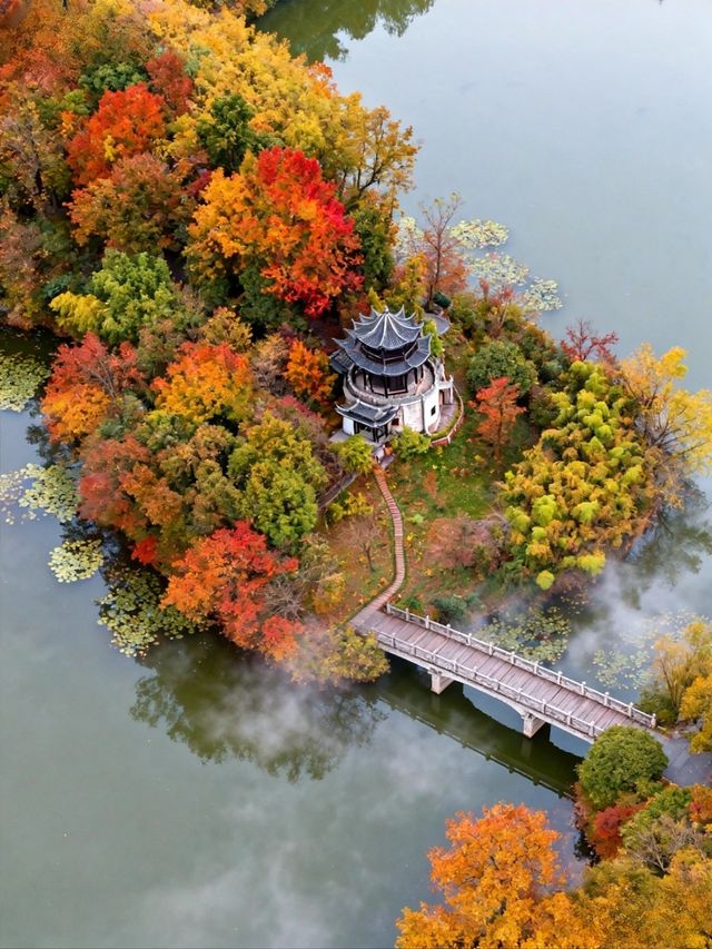 高鐵直達!快來皖南這個避世小鎮賞絕美秋色吧 高鐵直達!快來皖南這個避世小鎮賞絕美秋色吧