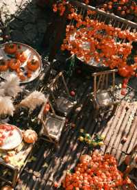 鴻達酒店的床,算是把我“拴”住了!