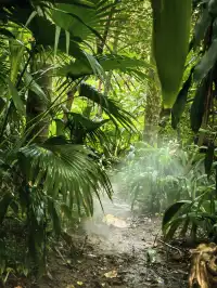 廈門植物園鐘鼓索道懶人版