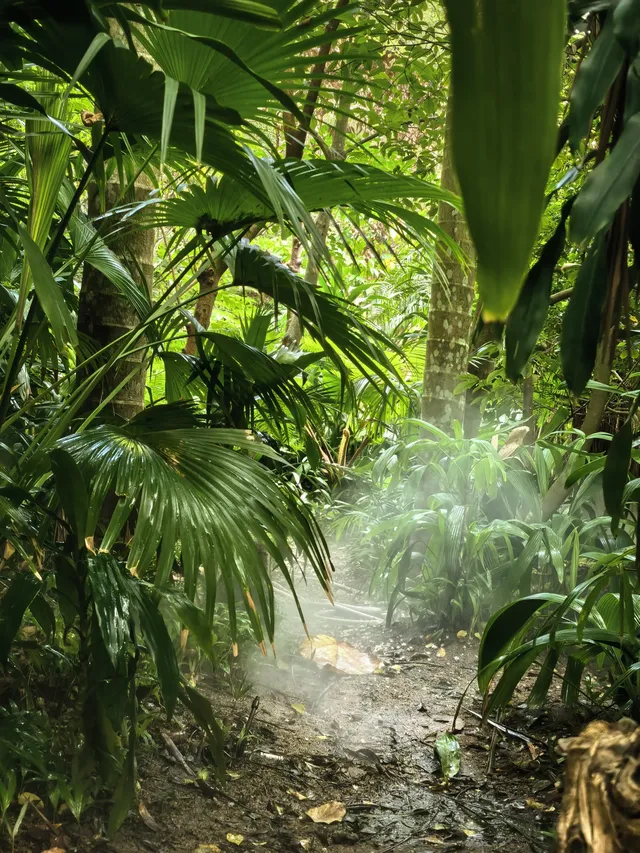 廈門植物園鐘鼓索道懶人版 廈門植物園鐘鼓索道懶人版