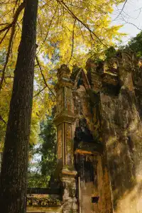 這一刻,沒有比飛雲崖更懂秋天的氣息