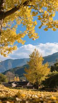 11至12月這四座城市美得不像人間，旅行攻略