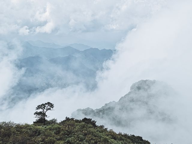 霧中三清水墨禪意原來古人的山水畫寫意亦寫實
