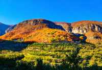 無門票!無停車費!景色絕美!不愧上過央視!