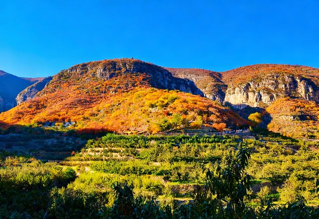 無門票!無停車費!景色絕美!不愧上過央視! 無門票!無停車費!景色絕美!不愧上過央視!