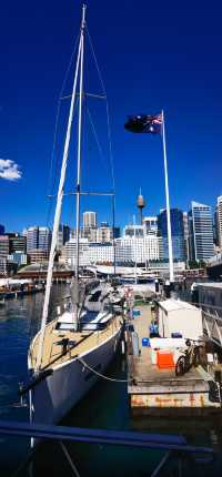 浪漫海港漫步指南