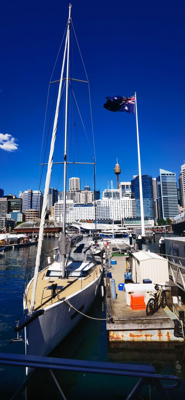 浪漫海港漫步指南