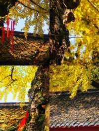 廣漢3日深度遊攻略探源古蜀+溫泉+美食,高鐵18min直達