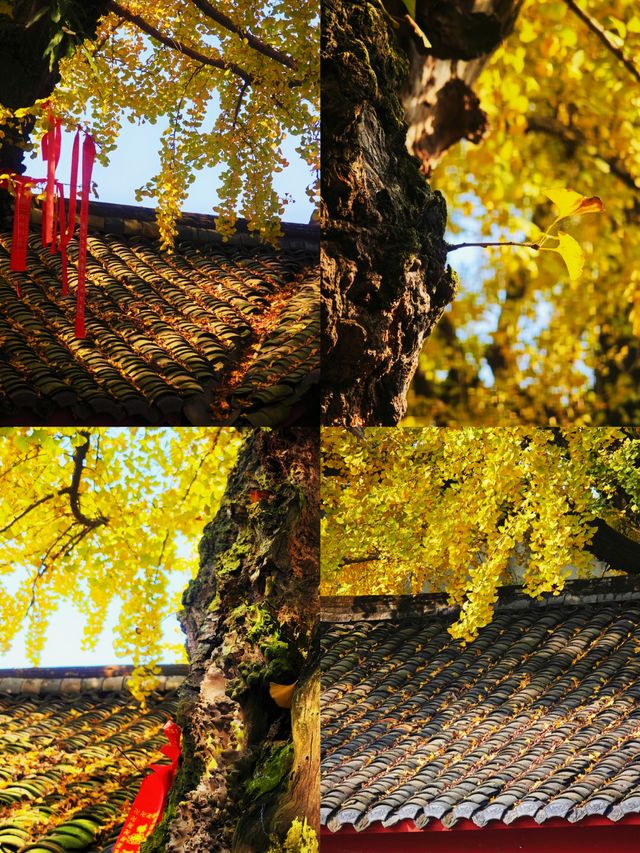 廣漢3日深度遊攻略探源古蜀+溫泉+美食,高鐵18min直達 廣漢3日深度遊攻略探源古蜀+溫泉+美食,高鐵18min直達