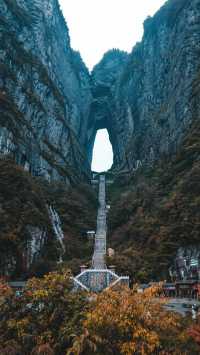 帶上家人來張家界四天三晚，玩轉阿凡達仙境！