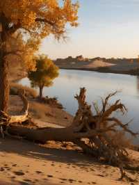 三大胡楊林親子賞秋對比國慶遛娃攻略