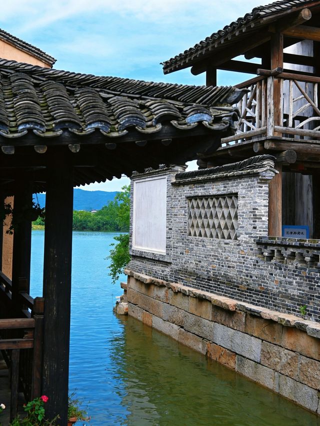 本以為要去大理才能找到的治癒感,沒想到 本以為要去大理才能找到的治癒感,沒想到