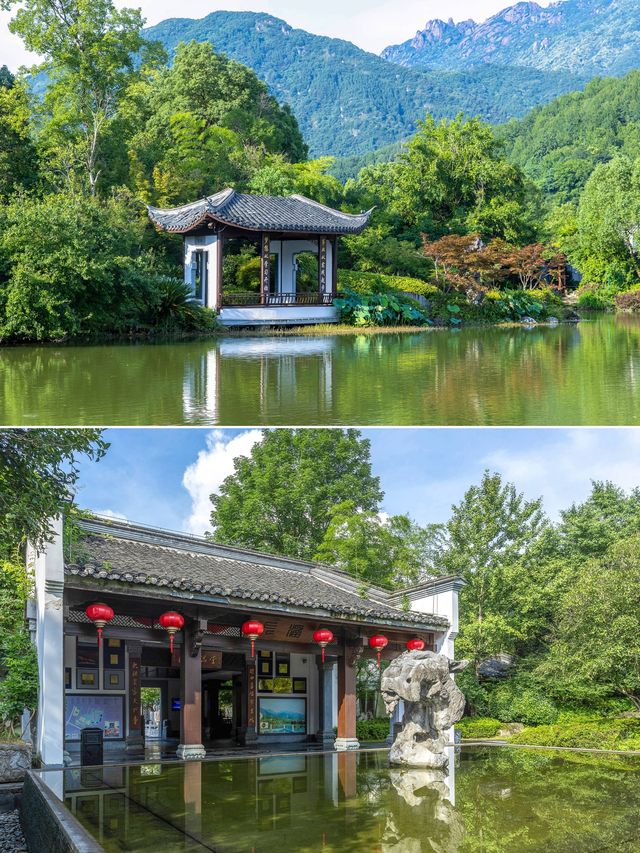 去九華山玩的朋友有福了！禪意酒店絕絕子！